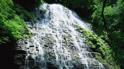 高精度独特信息化